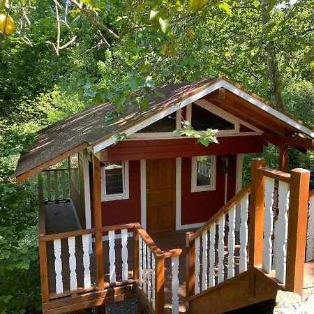 El Palacio De Pool Chillout Bbq Vila *