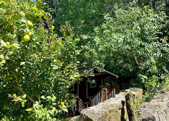 El Palacio De Pool Chillout Bbq * Liano